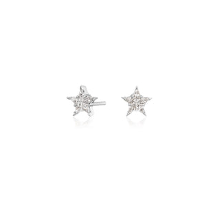 White Gold Star Studs